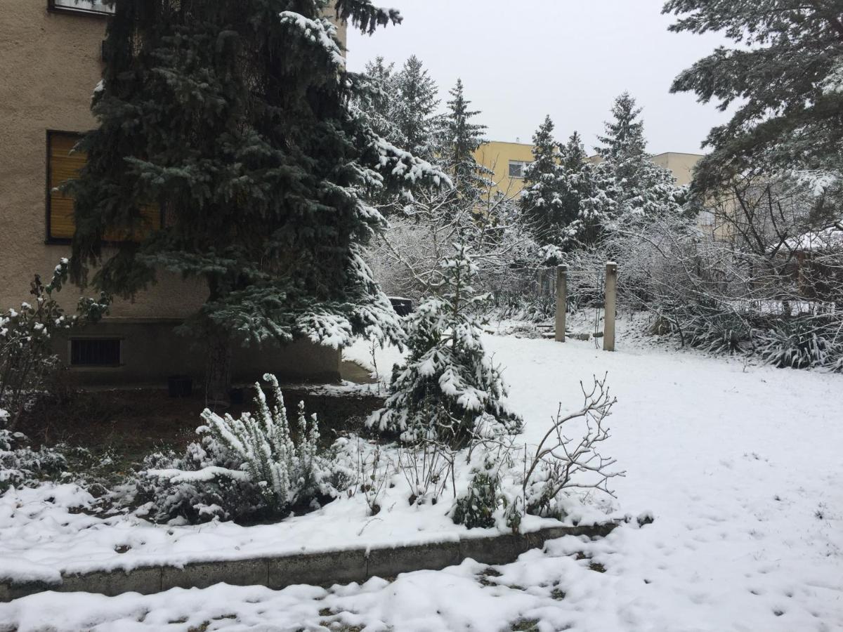 Next To University Debrecen Exterior foto
